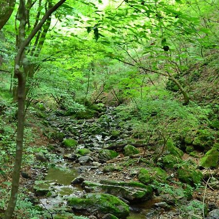 Toyoko Inn Tokyo Fussa Ekimae Higashi Guchi Hamura Bagian luar foto